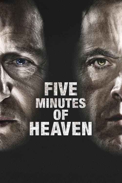 Pět minut v nebi (2009) – plakát