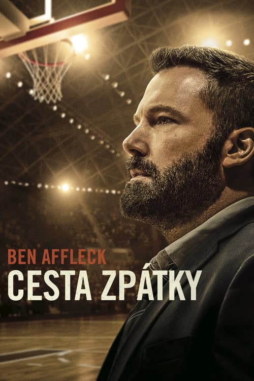 Cesta zpátky (2020) – plakát