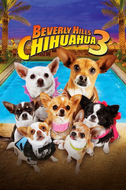 Čivava z Beverly Hills 3 (2012) – plakát